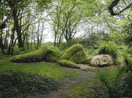 Lost Gardens of Heligan