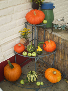 Pompoenen